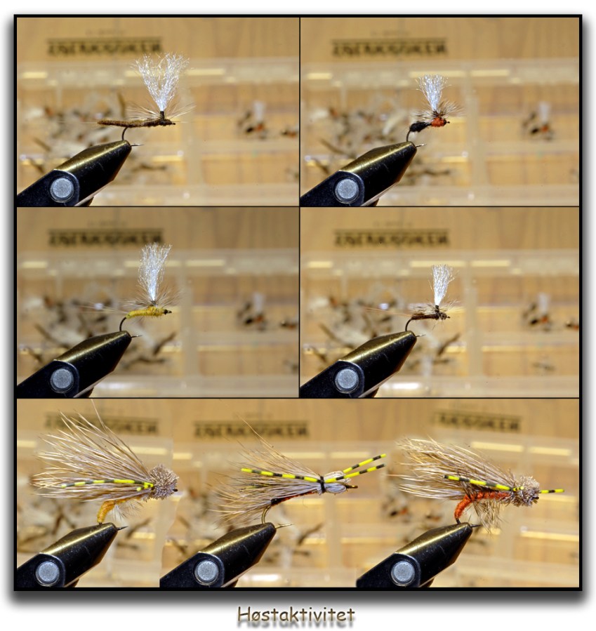 Høstens fluebinding for sesongen 2012