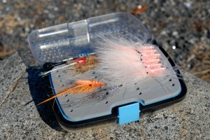 Susebukten24.03.13-1