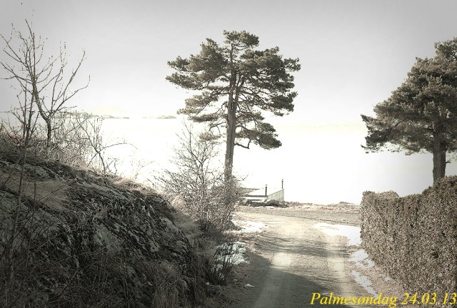 Susebukten24.03.13-7