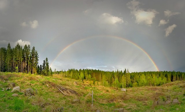 PANO_20130519_195901