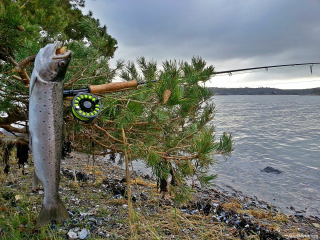 201140323_072702_HDR