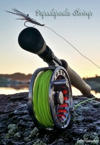 20141206_150938_Richtone(HDR)