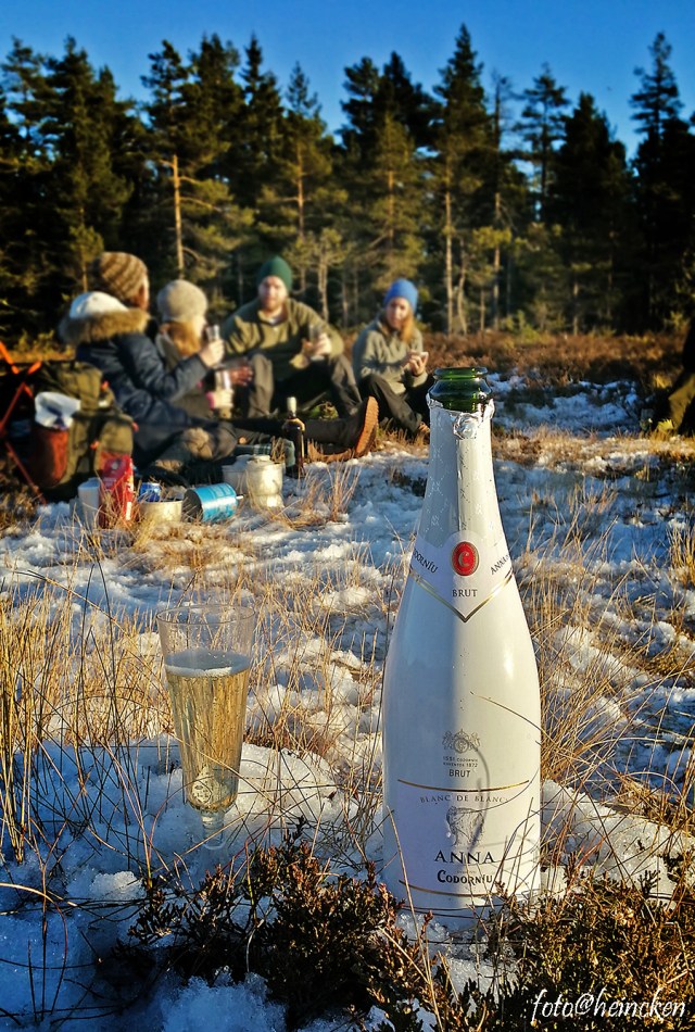 20141231_135009_Richtone(HDR)