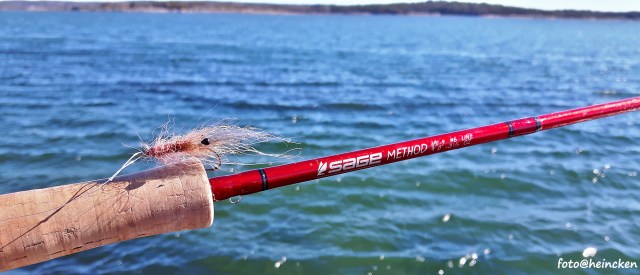 20160323_105636_Richtone(HDR)