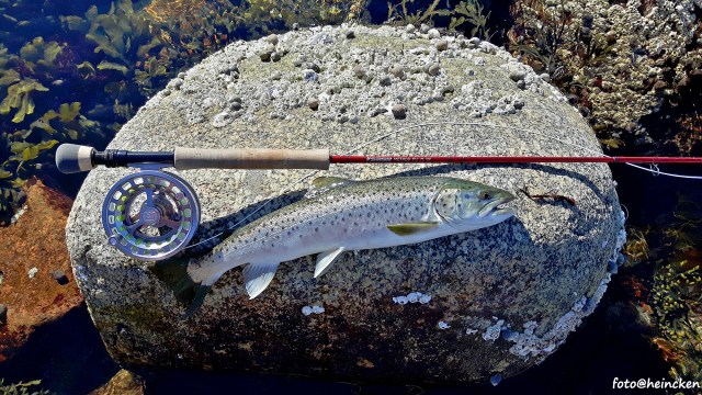 20160323_115223_Richtone(HDR)