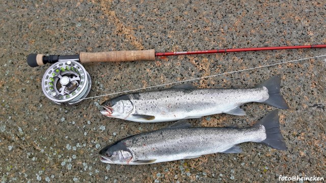 20160403_081531_Richtone(HDR)