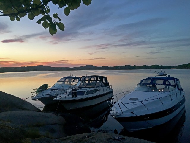 Skogholmen-Viksfjord